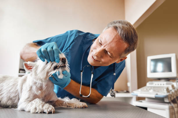 Best Emergency Denture Repair in Clifton Heights, PA